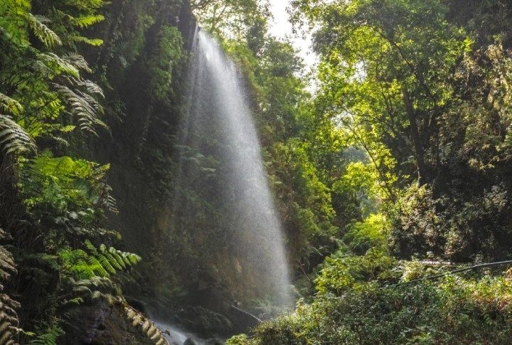 Qué ver en La Palma: una isla llena de sorpresas
